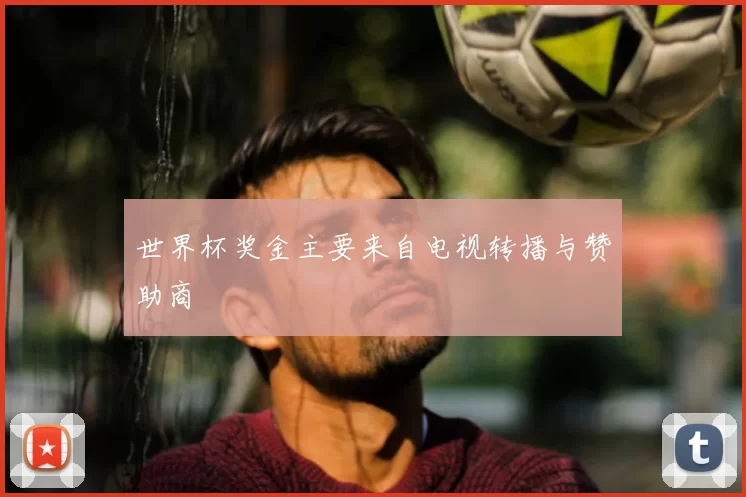 世界杯奖金主要来自电视转播与赞助商