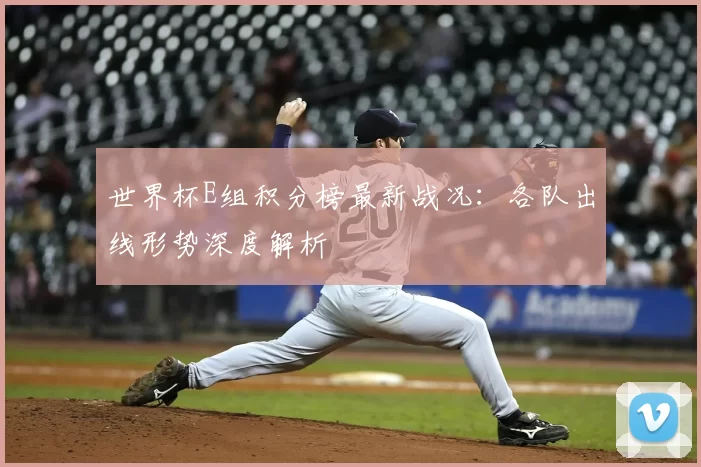 世界杯E组积分榜最新战况:各队出线形势深度解析