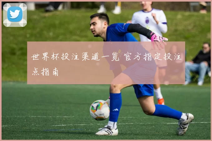 世界杯投注渠道一览 官方指定投注点指南
