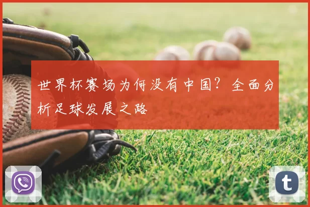 世界杯赛场为何没有中国？全面分析足球发展之路