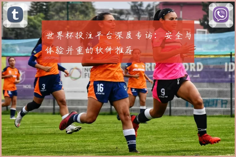 世界杯投注平台深度专访：安全与体验并重的软件推荐