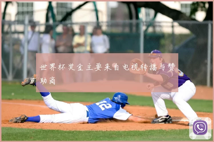 世界杯奖金主要来自电视转播与赞助商