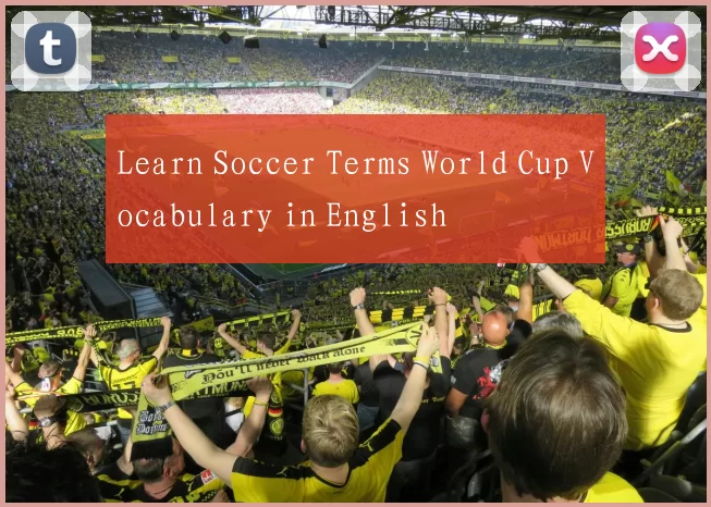 Learn Soccer Terms World Cup Vocabulary in English
