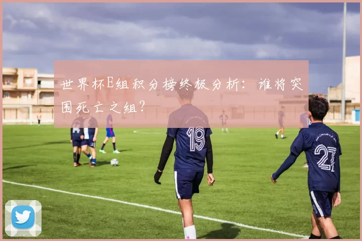 世界杯E组积分榜终极分析:谁将突围死亡之组?