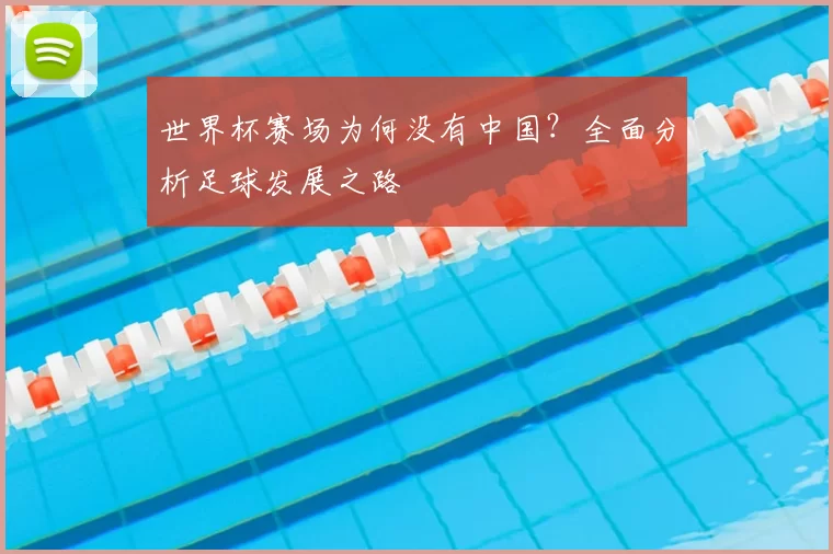 世界杯赛场为何没有中国？全面分析足球发展之路