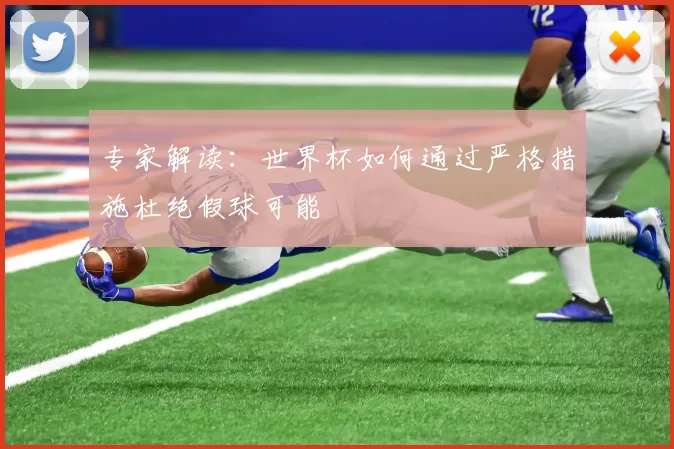 专家解读：世界杯如何通过严格措施杜绝假球可能