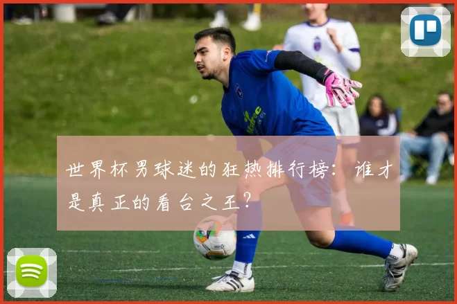 世界杯男球迷的狂热排行榜：谁才是真正的看台之王？